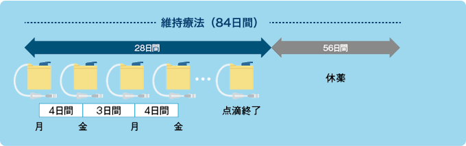 図2：外来治療用レジメン　寛解導入療法/地固め療法（42日間）と維持療法（84日間）