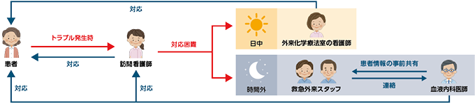 図3：緊急時の体制フロー